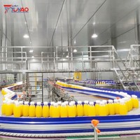 Volledig automatische productielijn voor vers fruit & sinaasappelsap met zuiver water vulinstallatie, motor met hoge productiviteit