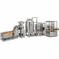 Automatische fruitverwerkingslijn van roestvrij staal, inclusief drankenfiltratie en vulmachine voor fruitverwerkingsbedrijven