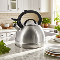 Cuisine de haute qualité bouilloire à sifflet européenne 3L cuisinière à Induction à gaz universel en acier inoxydable thé café bouilloire à eau