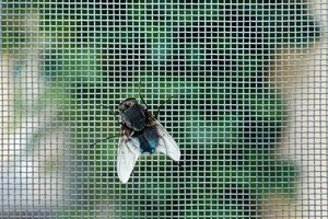 Rollo de mosquitera profesional y malla de pantalla de fibra de vidrio con impermeable para <span class=keywords><strong>Windows</strong></span> - Product Image 5