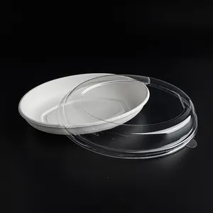 Rectangle PET PLA Food Grade To Go Containers Food Disposable Salad And Fruit Box With Hinged Lid