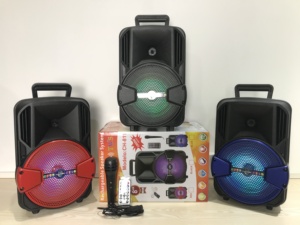 8 英寸便携式音箱 8 英寸派对音箱带麦克风的音响箱 - Product Image 2