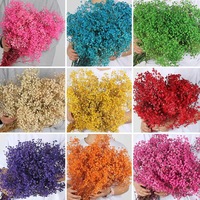 Fabrieksgroothandel Gedroogde Baby's Breath, 20+ Kleuren Gemengd Real Touch Droge Gypsophila Bloemen 120g Bruiloft, Pasen Feestdecoratie