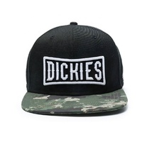 China de buena calidad en blanco personalizado de marca gorra de béisbol 3D bordado Snapback para el verano