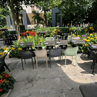 Chaises en plastique de salle à manger en plein air de haute qualité style minimaliste moderne accoudoirs de conception empilables à dossier creux restaurants