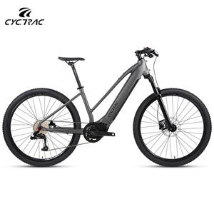 Bicicleta Eléctrica Económica para Adultos con Motor de 48V250W de Transmisión Media y 10 Velocidades, la <span class=keywords><strong>Mejor</strong></span> Oferta en Venta - Product Image 2