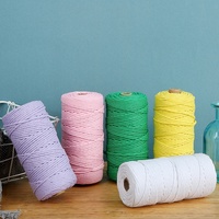 Fil acrylique coloré teint de 3 à 4 mm d'épaisseur, mélange de fils pour tissage manuel DIY, cordons de fixation, corde en coton, textile