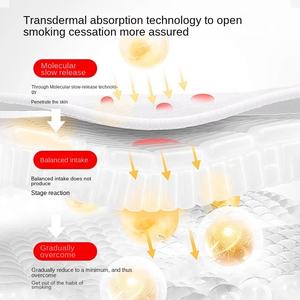 ハーブ純正メンズ禁煙代替パッチ（肺グラフィックデザイン入り） - Product Image 5