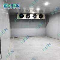 Loopdeur vriescel koelopslagruimte container zonne-energiebesparend met Fusheng/Emerson/Bristol compressoren