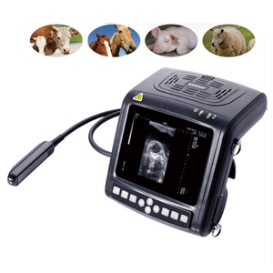 Échographe vétérinaire portatif pour poignet KAIXIN KX5200V - Product Image 2