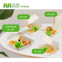 Boîtes à emporter personnalisées 8x8 pouces en bagasse biodégradable et compostable pour hamburgers