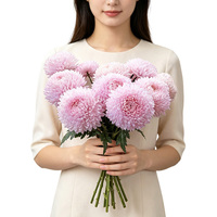 Fleurs fraîches coupées en gros 2026 : Pivoine, Chrysanthème et Strawflower en provenance directe de Chine