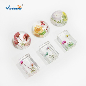 Spécimen de fleur emboîté dans de la résine hémisphérique de 47 mm, ornement de fleur séchée, cadeau exquis, fabricant de spécimens. - Product Image 3