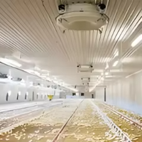 Estructura de Acero Prefabricada Ligera para Gallineros, Naves Avícolas, Almacenes, Construcción con Estructura de Pórtico, Soldadura y Corte Rápidos
