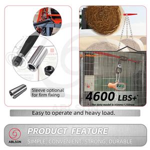 ABLSON ditempa lurus tnes untuk traktor pemuat jerami dengan tombak Hay dan tombak <span class=keywords><strong>Loader</strong></span> Tine Bale untuk <span class=keywords><strong>Fiat</strong></span> 640 bagian traktor - Product Image 4