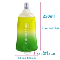 Gourde souple de 250 ml, bouteille d'eau pliable en TPU pour sac d'hydratation, gilet de course, bouteille d'eau pliable