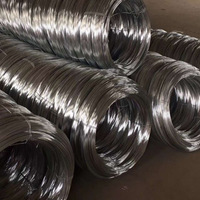 Fil de fer galvanisé à chaud coupé, prix abordable, fourni par l'usine, Alambre Galvanized Wire