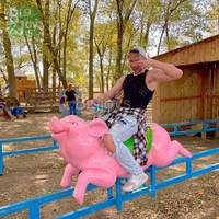 Offre Spéciale Fermes Attrayantes Jeux De Course De Cochons Parc D'attractions Pig Race Personnalisation Animal Peut Choisir