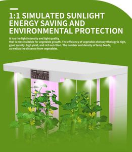 Sistema de Cultivo Hidropónico Completo para Jardín Doméstico y Agricultura de Bajo Costo, Ideal para Vegetales - Product Image 6