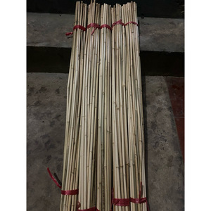 ไม้ไผ่ธรรมชาติสำหรับค้ำต้นมะเขือเทศและผัก ราคาขายส่ง จำนวนมาก - Product Image 3