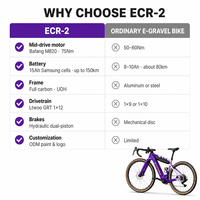 Vélo de gravier électrique entièrement en carbone avec moteur central 250W 75Nm, batterie 36V 15Ah, frein à disque hydraulique 12 vitesses, pneus 700x40C, ODM