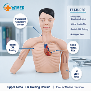 Simulador de Intervención PICC, Maniquí de Catéter <span class=keywords><strong>Venoso</strong></span> <span class=keywords><strong>Periférico</strong></span> y <span class=keywords><strong>Central</strong></span>, Ayuda para la Educación y Entrenamiento, CE/ISO - Product Image 1