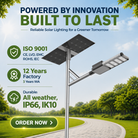 Lampadaires solaires 80W les plus vendus et populaires, étanches IP66, avec batterie LFP et contrôleur MPPT, pour usage routier, garantie 3 ans