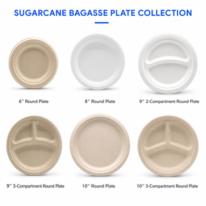 Assiette jetable de 12 pouces en bagasse de canne à sucre compostable, biodégradable, écologique, compatible micro-ondes, avec logo personnalisé, emballée en carton pour fêtes - Product Image 5