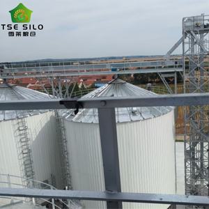 Silos à maïs en acier galvanisé de bonne qualité, fond conique, capacité de 100T à 10000T, certifiés ISO CE, longue durée de vie de 20 à 50 ans - Product Image 4