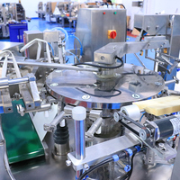 Machine d'emballage entièrement automatique CE pour le conditionnement de poudres et d'épices en sachets préformés de 500 g avec codage de date