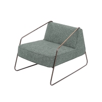 Moderner minimalisti scher Einzels ofa stuhl mit Metallrahmen Akzent Home Office Outdoor Gelegenheits stuhl