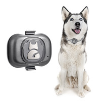 Collar GPS al por Mayor para Perros y Gatos con Compartimento para Tarjeta SIM, LED de Carga y Correa de Sujeción Integrada