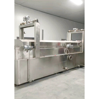 Nouvelle machine de friture automatique industrielle à moteur continu pour chips de banane, de plantain et d'arachides en acier inoxydable SUS304