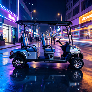 Voiturette de golf électrique ZOWN à deux places avec un consommation de carburant constante, mode d'économie d'énergie intelligent, évite les chutes de puissance brusques en route - Product Image 1
