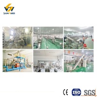 Ligne de production de chips Bugles à haute efficacité avec technologie d'aromatisation et de déshuilage
