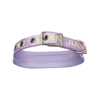 Collier pour chien en polyester tendance avec motif lettres, boucle ardillon détachable, pour promenade estivale