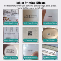 Mini-imprimante jet d'encre portable pour codes de lots, séchage rapide, codage de dates et numéros sur œufs, TIJ