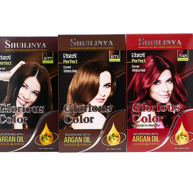 Kit De Coloration Cheveux 22 Pièces - Bol, Pinceau, Peigne - Pour Salon à Domicile DIY