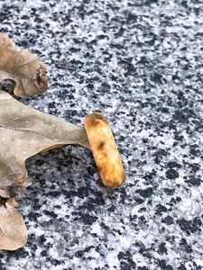 Bagues en résine et en bois pour hommes et femmes, bijoux élégants faits à la main en bois naturel et en résine avec un design unique pour tous les jours - Product Image 2