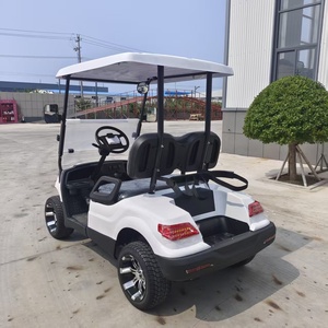 Carrito de Golf Eléctrico para 2 Pasajeros - Product Image 2