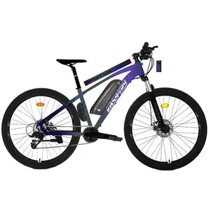 신제품 판매 저렴한 OEM 전기 자전거 8 단 알루미늄 합금 전기 산악 자전거 리튬 배터리 mtb 전자 자전거