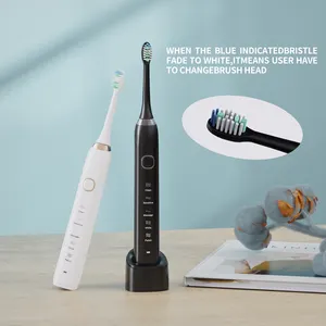 2023 Fashion Design Ipx7 Waterproof Smart Sonic Electric Toothbrush Rechargeable Ultrasonic Vibrating Automatic Toothbrush