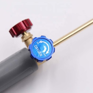 Trung Quốc Bán Buôn Công Cụ Hàn Thổi Khí Ngọn Lửa Súng Skyasia American Cao Cấp Thu Nhỏ Aerobic Hàn Ngọn Đuốc - Product Image 5