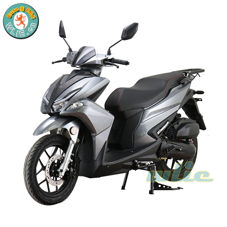 Euro 5 V cee COC Powerfu Scooter Chappy puppy moto Gas Motor Cycle per adulti