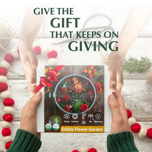 Kit de fleurs comestibles de luxe, Kit de culture de plantes de tournesol, support de <span class=keywords><strong>Pot</strong></span> de fleur pour la maison et le jardin - Product Image 6