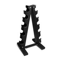 Support de Rangement Commercial et Domestique pour Haltères en Acier à 5 Niveaux en Forme de A, pour Poids de 9,5 kg, Accessoire d'Équipement de Fitness