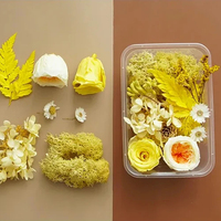 Bunga kering asli Aromaterapi dekorasi bunga kering kuning oranye musim gugur bahan DIY bunga kering alami untuk dekorasi bingkai foto seni Resin