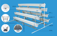 Automatisch PVC druppelirrigatiesysteem voor aardbeien, verticaal groeiende gootkas, bodemloze kweek, kanaalrek, laag.