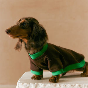 Qiqu perlengkapan hewan peliharaan miniatur desainer baru kustom kaus anjing lapisan ganda palsu <span class=keywords><strong>Dachshund</strong></span> kaus anjing untuk anjing sosis - Product Image 5