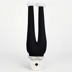 Sèche-<span class=keywords><strong>linge</strong></span> électrique multifonctionnel à succès avec fonction de séchage et de repassage pour un usage domestique - Product Image 3